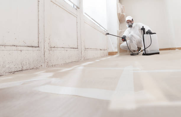 24/7 Emergency Mold Testing experts in Sperryville, VA