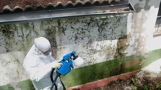 Top rated local Mold Remediation specialists in Sperryville, VA